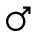 homme